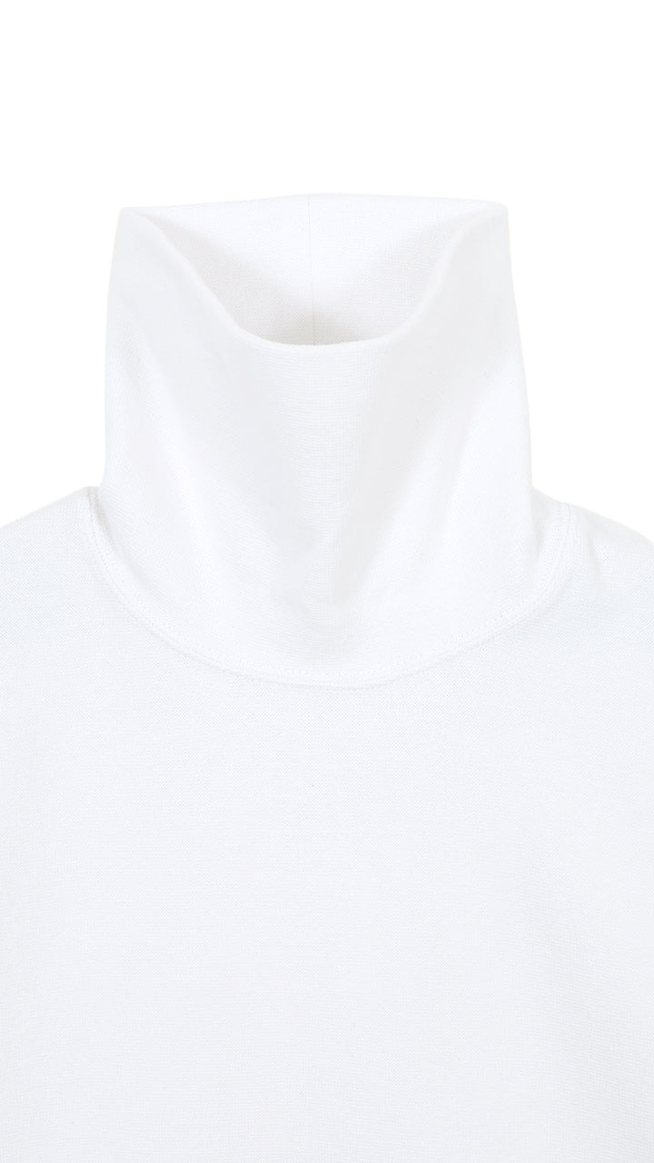 zinc rib tail turtle