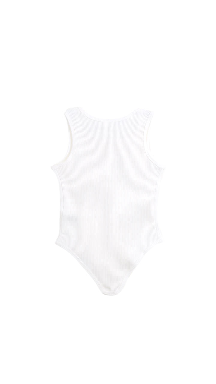 zink rib tail tank