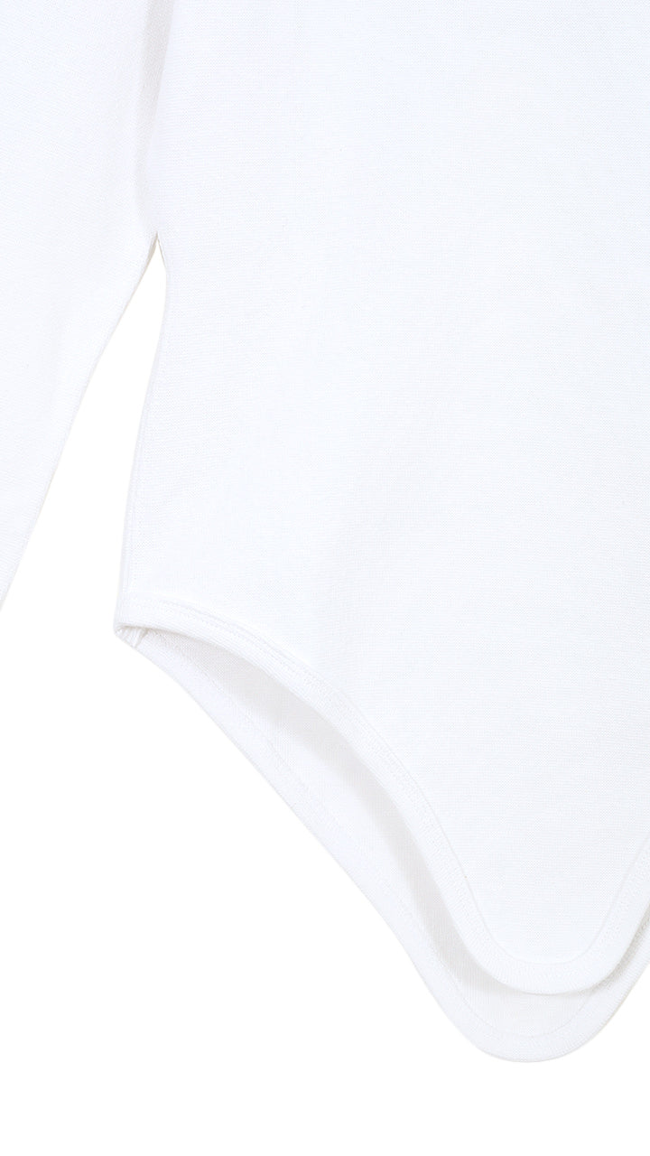 zinc rib tail turtle