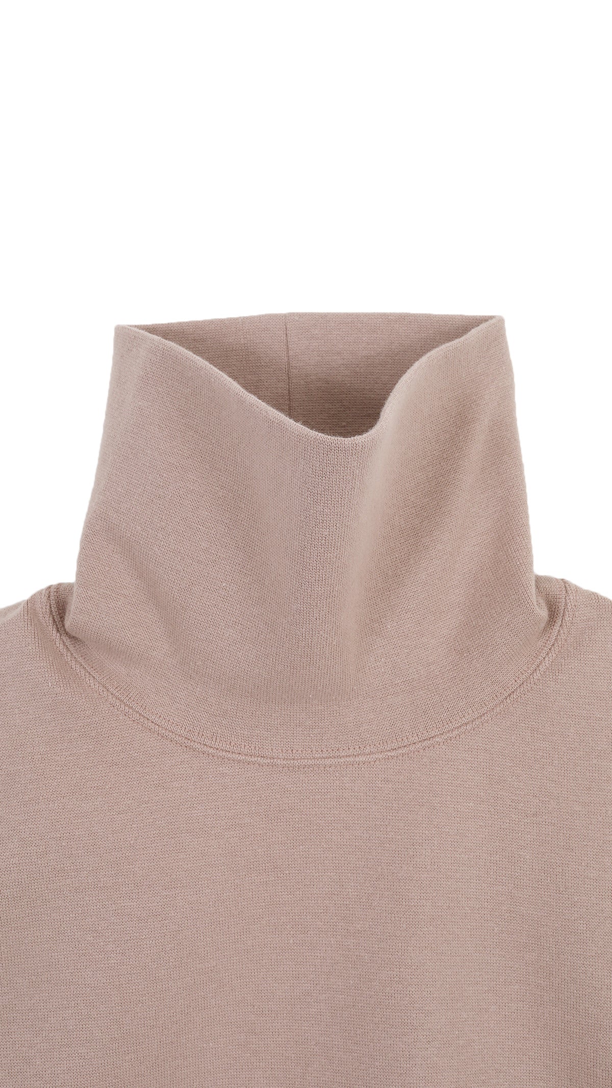 bear jersey tail turtle